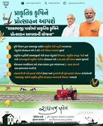 Organic Farming: પ્રાકૃતિક ખેતીને પ્રોત્સાહન આપશે ગુજરાત સરકાર, શરૂ કરવામાં આવી યોજના
