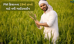 જો 31 જાન્યુઆરી સુધી નથી કર્યો આ કામ તો ખાતામાં નહીં આવે પીએમ કિસાનનો 19મો હપ્તો
