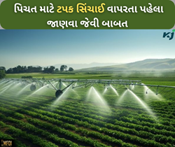 પિચત માટે ખૂબ જ ઉપયોગી છે ટપક સિંચાઈ પદ્ધતિ, આ 12 સ્ત્રોતો અટકાવે છે પાણીના બગાડને 