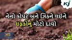 નેનો ઝિંક અને નેનો કોપરને લઈને ચાલી રહેલા વિવાદ વચ્ચે ઇફકોનો મોટો દાવો
