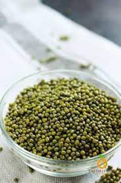 સરકારી બજારમાં મગની ખરીદી શરૂ ન થવાના કારણે મંદીનો માહોલ છે, ખેડૂતોને ભારે નુકસાન વેઠવું પડી રહ્યું છે.