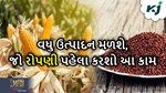 ખરીફ પાક: જો રોપણી પહેલા કરશો આ કામ તો મકાઈ અને રાગીનું મળશે સારો એવો ઉત્પાદન