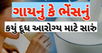 તમારા સ્વાસ્થ્ય માટે કયું દૂધ છે સૌથી સારું? ગાયનું કે ભેંસનું? અહીં જાણો