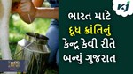 World Milk Day: વિશ્વમાં સૌથી વધું દૂધ ઉત્પાદન કરવા છતાં ભારત સામે છે પડકારોનું પહાડ