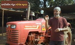 પનવેલના ખેડૂતની સફળતાની યાત્રામાં અહમ ભૂમિકા ભજવી રહ્યા છે મહિન્દ્રા ટ્રેક્ટર 