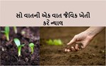 જમીનની સ્વસ્થ્યતા અને પર્યાવરણ સંરક્ષણ માટે અપનાવો જૈવિક ખેતી