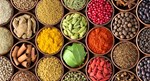 Spice Crops મસાલા પાકોનું ઉત્પાદન વધારવાની ખેત પદ્ધતિઓ
