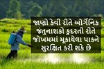 ઓર્ગેનિક જંતુનાશકો કુદરતી રીતે જોખમમાં મૂકાયેલા પાકને સુરક્ષિત કરી શકે છે; જાણો-કેવી રીતે