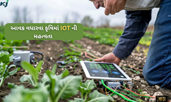 કૃષિમાં ઈન્ટરનેટ ઓફ થિંગ્સ (IoT): આવક અને ઉપજ વધારવાનું આધુનિક માર્ગ