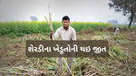 Sugar Cane ખેડૂતોના ગુસ્સાને કારણે નિર્ણય પાછો ખેંચાયો