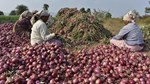 Onion Prices Increased પહેલા ટમેટાં એ લોકોને લાલ કર્યા, હવે ડુંગળી એ લોકોને રોવડાવ્યા, 