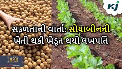 Success Story: સોયાબીનની ખેતી ચંદ્રકાંતને બનાવ્યું પ્રગતિશીલ ખેડૂત, ઘરે ઉભા કર્યો પૈસાના ઢગળા  