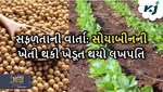 Success Story: સોયાબીનની ખેતી ચંદ્રકાંતને બનાવ્યું પ્રગતિશીલ ખેડૂત, ઘરે ઉભા કર્યો પૈસાના ઢગળા