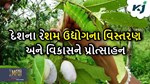 રેશમના ઉત્પાદનના મામલે આત્મનિર્ભરતા તરફ આગળ વધતા ભારત