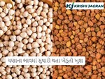 ચણાના ભાવમાં સુધારો થતા ખેડૂતો ખુશ