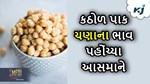 Chickpea Price: ઉત્પાદન ઓછા થવાના કારણે મુખ્ય કઠોળ પાક ચણાના ભાવમાં નોંઘાયું વઘારો