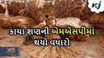 ખેડૂત આંદોલન વચ્ચે કેન્દ્ર સરકારનું મોટું નિર્યણ, કાચા શણની MSP માં કર્યો વધારો
