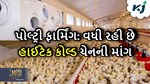 પોલ્ટ્રી સેક્ટર બન્યું કૃષિનું મહત્વપૂર્ણ ભાગ, વધી રહી છે હાઈટેક કોલ્ડ ચેનની માંગ