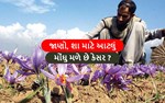 કેસર શા માટે મોંઘુ હોય છે? અને જાણો, કેવી રીતે કરવામાં આવે છે કેસરની ખેતી ?