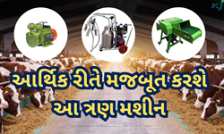 Dairy Farming: ટેક્નોલોજીના મેળવો લાભ, આ ત્રણ મશીનો થકી થાઓ આર્થિક રીતે મજબૂત