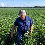 શા માટે અમેરિકન ખેડૂતો ભારતીય ખેડૂતો કરતા આગળ છે, જાણો કારણ