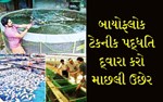 બાયોફ્લોક ટેક્નિક : ઓછા વિસ્તારમાં માછલીનો ઉછેર છે બેસ્ટ