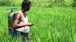 Biopesticides પર એક લાખ ખેડૂતોને મળશે 90% સબસિડી, વાંચો કેવી રીતે થશે ફાયદા