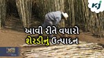 શેરડીના ખેડૂતો માટે મહત્વની જોગવાઈ, ઉત્પાદન વધારવાની આ છે સાચી રીત