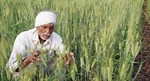 PM KIsan : 75 લાખ ખેડૂતોને નહીં મળે 10માં હપ્તા, તપાસો તમારા નામ છે કે નહિં