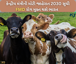 2030 સુધી ભારત થઈ જશે FMD રોગથી મુક્ત, થઈ રહ્યો ઝડપથી કામ: રાજીવ રંજન