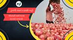 Onions : મોંઘવારી સામે લડવા સરકારે બનાવ્યો આ ખાસ પ્લાન