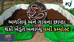 Success Story: અળસિયું અને ગાયના છાણા ભેળવીને ખેડૂતે બનાવ્યું જૈવિક ખાતર, હવે કરે છે લાખોની કમાણી 