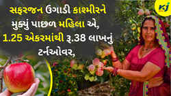 Women Apple Farming : 1.25 એકરમાંથી રૂ.38 લાખનું ટર્નઓવર