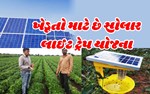 સોલાર લાઈટ ટ્રેપ યોજના : બાગાયતી પાકોમાં પાક સંરક્ષણ કરવામાં મળશે સોલિડ મદદ