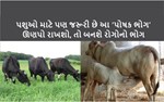 આપના પશુઓને રોગમુક્ત રાખવા આટલું જરૂર જાણો અને જાળવી રાખો ઉત્પાદકતા