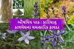 ઔષધિ પાક છે કરિયાતુ કાલમેઘની ખેતી, વાંચો સંપૂર્ણ માહિતી