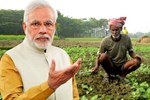 મોદી સરકારે ખેડૂતોની આ યોજનાને આપી દીધી લીલીઝંડી
