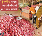 ડુંગળીના ભાવમાં મોટા પાચે નોંઘાયો ઘટાડો, જાણો દેશ અને ગુજરાતની એપીએમસીમાં કેટલા ઠળવાયા ડુંગળીના ભાવ