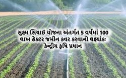 સુક્ષ્મ સિંચાઈ યોજના અંતર્ગત 5 વર્ષમાં 100 લાખ હેક્ટર જમીન કવર કરવાનો લક્ષ્યાંકઃ કેન્દ્રીય કૃષિ પ્રધાન