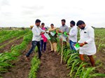 સરકારી નૌકરી ઇચ્છતા લોકો માટે અગત્યનો સમાચાર, કૃષિ વિભાગમાં શરૂ થઈ ભર્તી પ્રક્રિયા