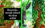 કિચન ગાર્ડન : આપણી રસોઇનો એક ઉત્તમ બગીચો