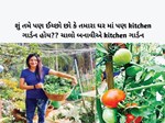 શું તમે પણ ઈચ્છો છો કે તમારા ઘર માં પણ kitchen ગાર્ડન હોય?? ચાલો બનાવીએ kitchen ગાર્ડન