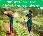 Market Price: જાણો રાજ્યની એપીએમસીમાં આવનારા બે દિવસ સુધી શું રહેશ કપાસ અને મગફળીનું ભાવ