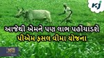 હવે તેમને પણ મળશે પ્રધાનમંત્રી પાક વીમા યોજનાનું લાભ