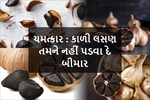 શું તમે પણ કાળા લસણ વિશે સાંભળ્યું છે ? ચાલો વાંચો તેના જબરદસ્ત ફાયદાઓ વિશે