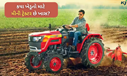 Farm Machinery: મીની ટ્રેક્ટર ખરીદતી વખતે મૂંઝવણમાં છો તો આ સમાચાર તમારા માટે છે
