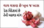 લાલ લસણના ફાયદા અનેક, મહીસાગરનું લાલ લસણ છે સમગ્ર વિશ્વમાં પ્રખ્યાત