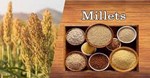 બાજરીના આ વિવિધ પ્રકારો વિશે જાણો