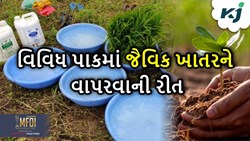 Diseases Control: વિવિધ પાકોમાં જૈવિક રોગ નિયંત્રક તેમજ જૈવિક ખાતરોનો ઉપયોગ