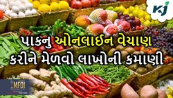 online Sale: હવે શાકભાજી અને ફળોનું કરો ઓનલાઈન વેચાણ, ટૂંક સમયમાં વેચાઈ જશે આખું પાક